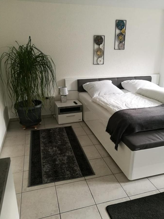 Ferienapartment "Vier Pfoten" In Korbach Exteriér fotografie